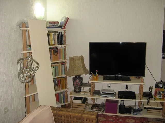 Living room with a television, bookshelves, and a lamp.