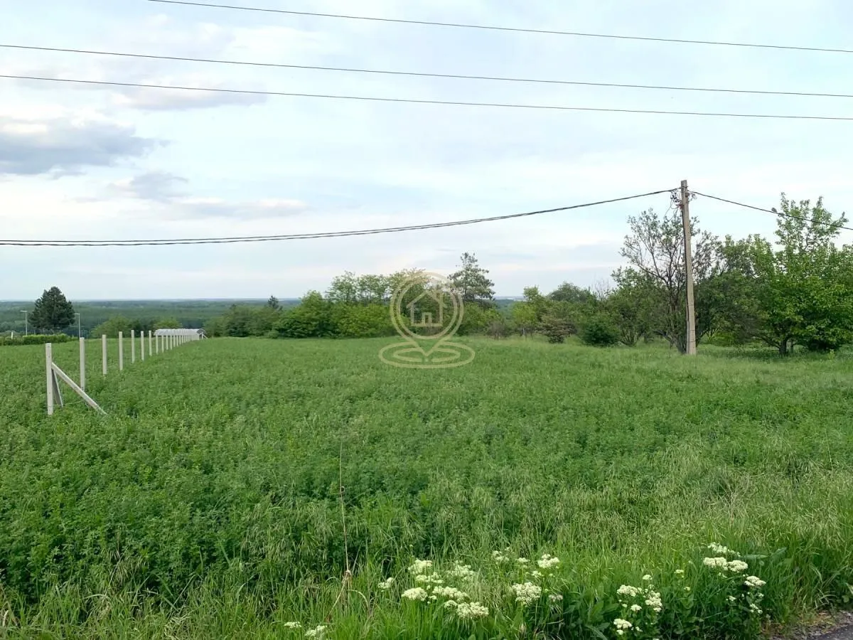Prodaja, plac, 1960m², Širine, Petrovaradin