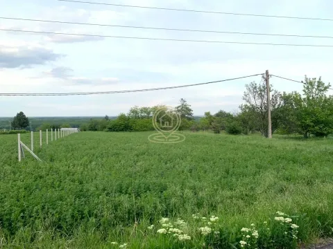 Prodaja, plac, 1960m², Širine, Petrovaradin - image 3