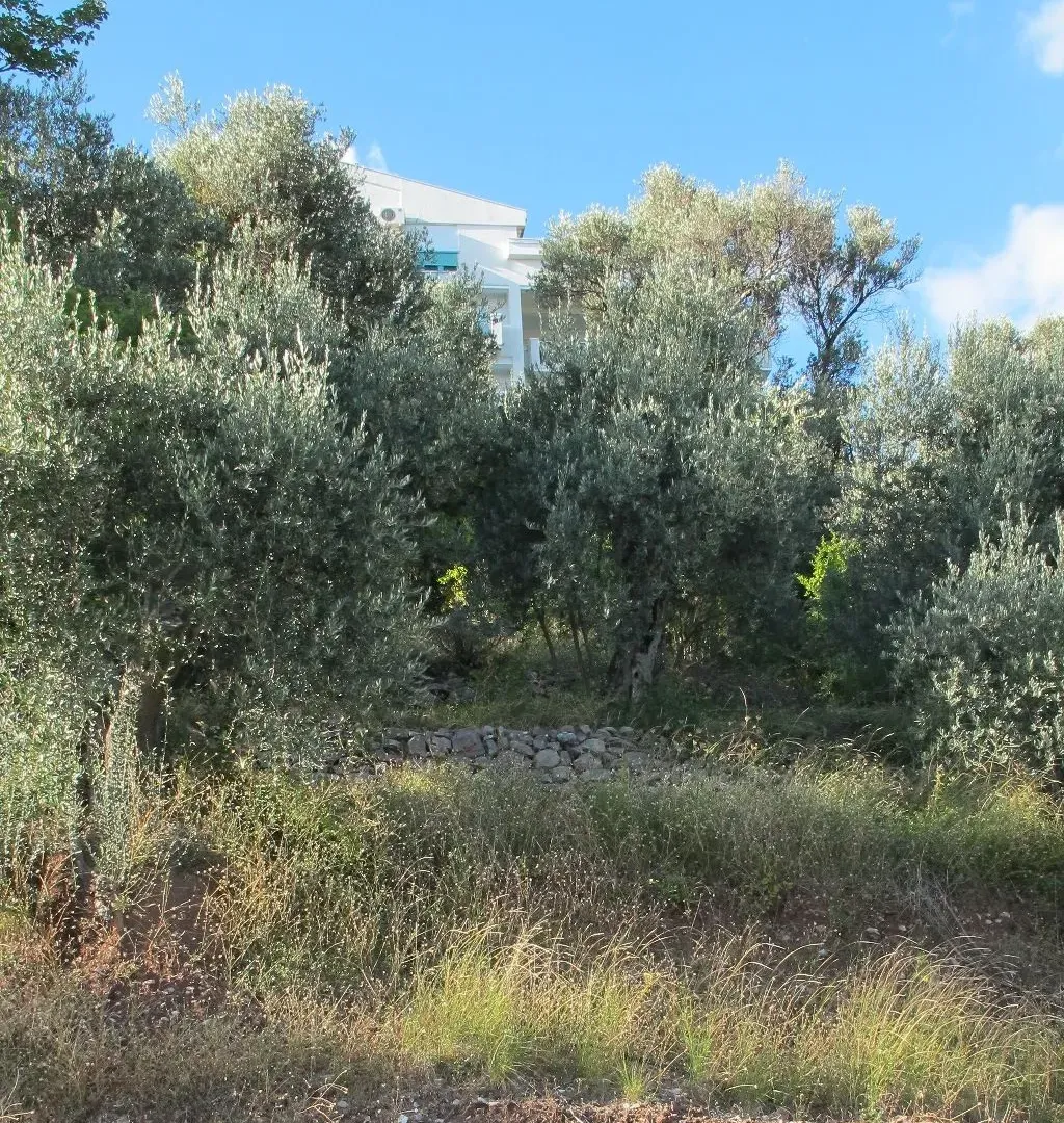 Prodaja, plac, 800m², Budva, Crna Gora