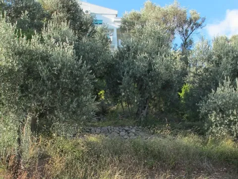 Sale, land lot, 800m², Budva, Crna Gora - image 3