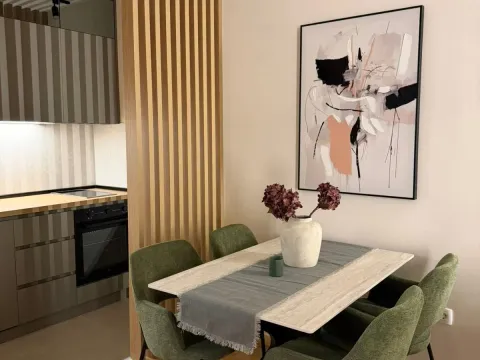 Rent, one bedroom apartment, 40m², Zabjelo, Podgorica - image 9