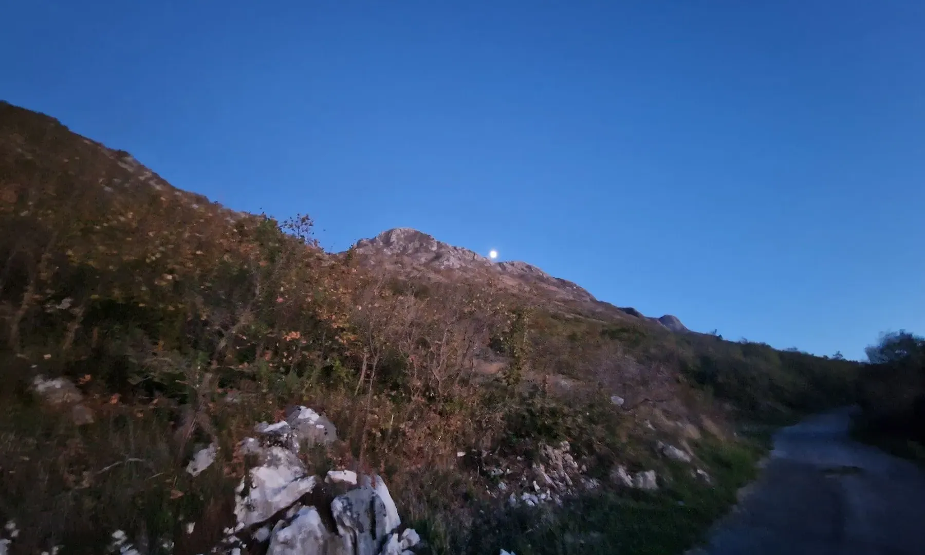 Prodaja, plac, 42305m², Njeguši, Cetinje