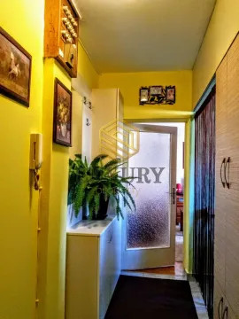 Rent, studio apartment, 28m², Gintaš, Podgorica - image 4