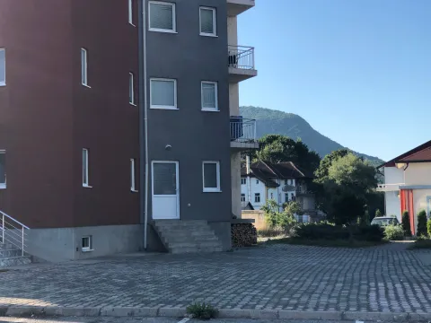 Izdavanje, poslovni prostor, 32m², Centar, Berane - image 2