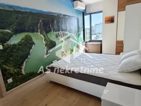 Izdavanje, dvosoban stan, 60m², Novi Beograd Sve Podlokacije, Beograd - image 8