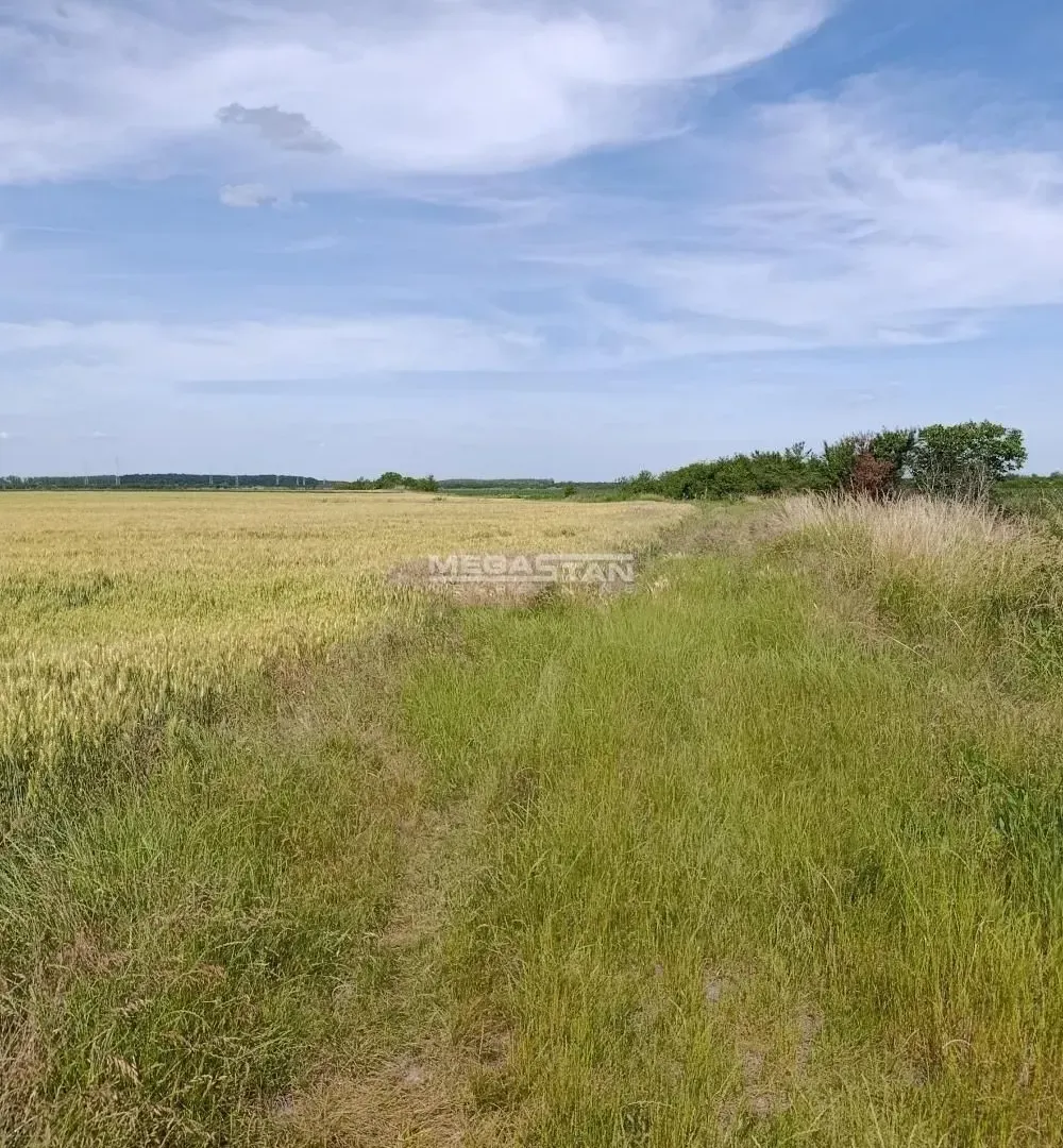Prodaja, plac, 13059m², Ovča, Palilula Sve Podlokacije
