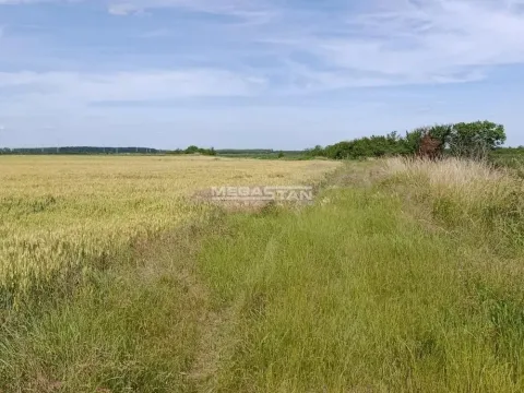 Prodaja, plac, 13059m², Ovča, Palilula Sve Podlokacije - image 3