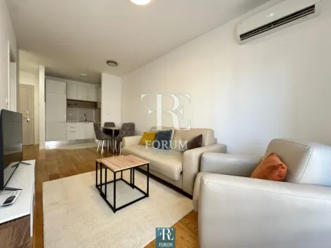 Rent, one bedroom apartment, 43m², Central Point, Podgorica - image 3