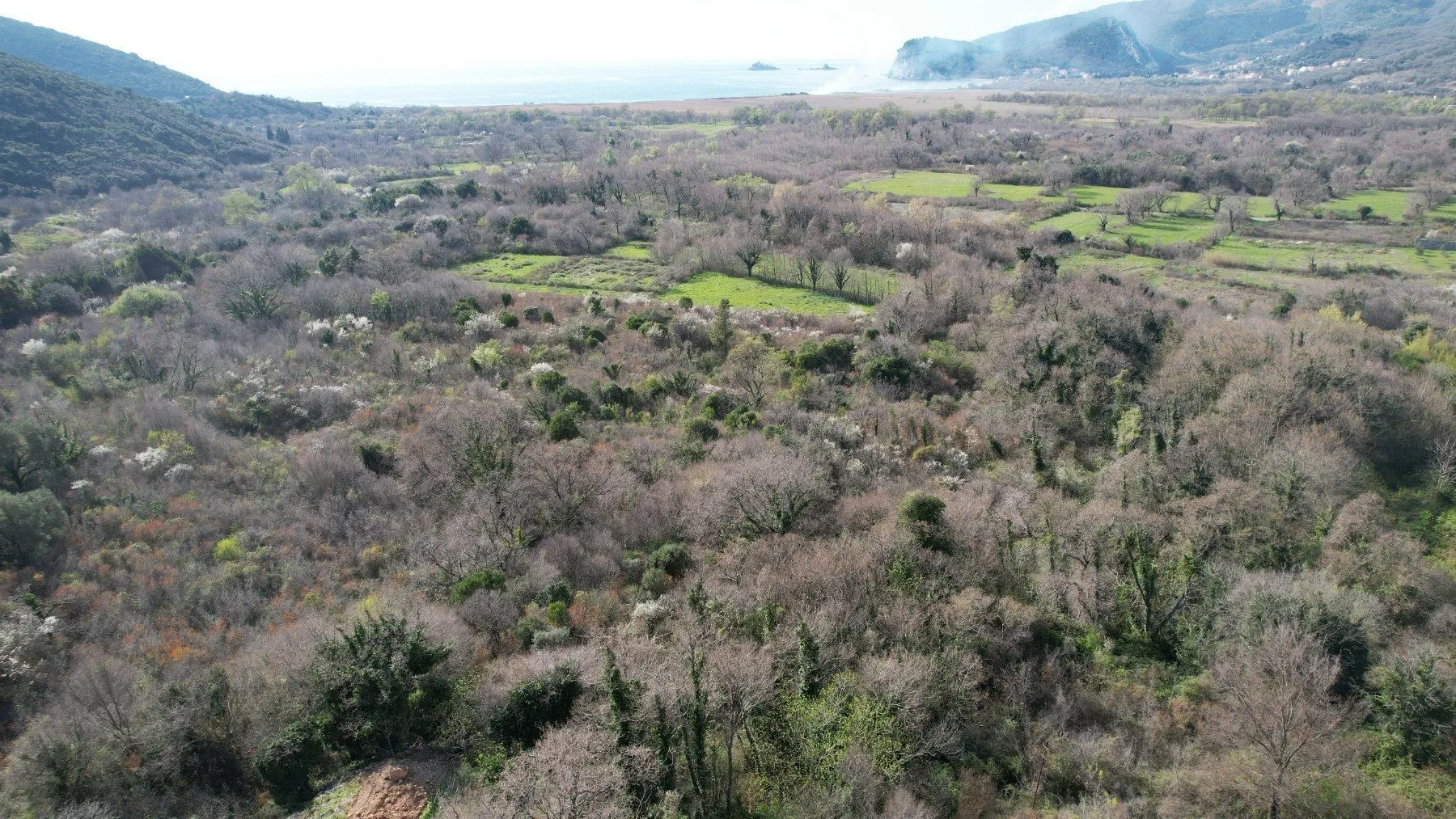 Sale, land lot, 40000m², Buljarica, Budva