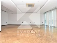 Rent, office space, 450m², Preko Morače, Podgorica - image 11
