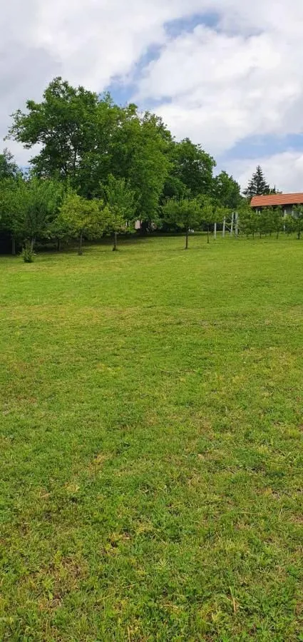 Sale, house, 360m², Irig, Srbija