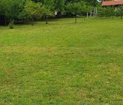 Prodaja, kuća, 360m², Irig, Srbija - image 18