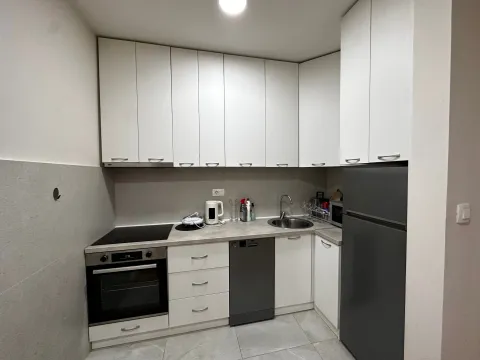 Rent, one bedroom apartment, 50m², Central Point, Podgorica - image 4