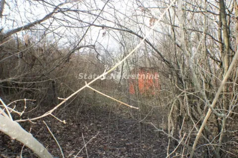 Zarasli dio dvorišta sa drvećem i grmljem. - image 11