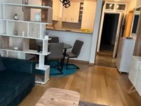 Izdavanje, jednosoban stan, 45m², Zemun Sve Podlokacije, Beograd - image 3