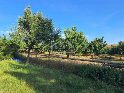 Sale, land lot, 4400m², Vrčin, Grocka - image 6