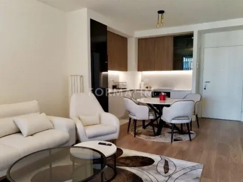 Izdavanje, dvosoban stan, 56m², Savski Venac, Beograd - image 5