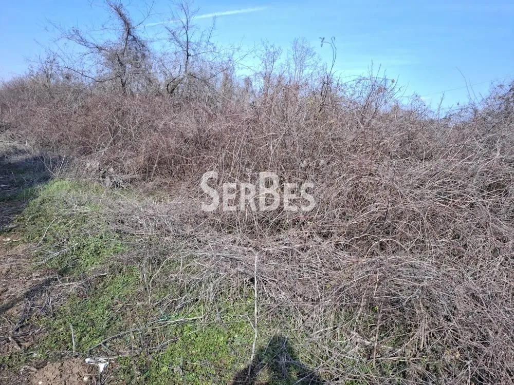 Prodaja, plac, 3251m², Trandžament, Petrovaradin
