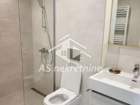 Izdavanje, dvosoban stan, 53m², Savski Venac, Beograd - image 13