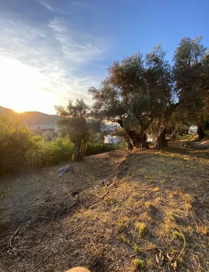 Sale, land lot, 3700m², Zaljevo, Bar