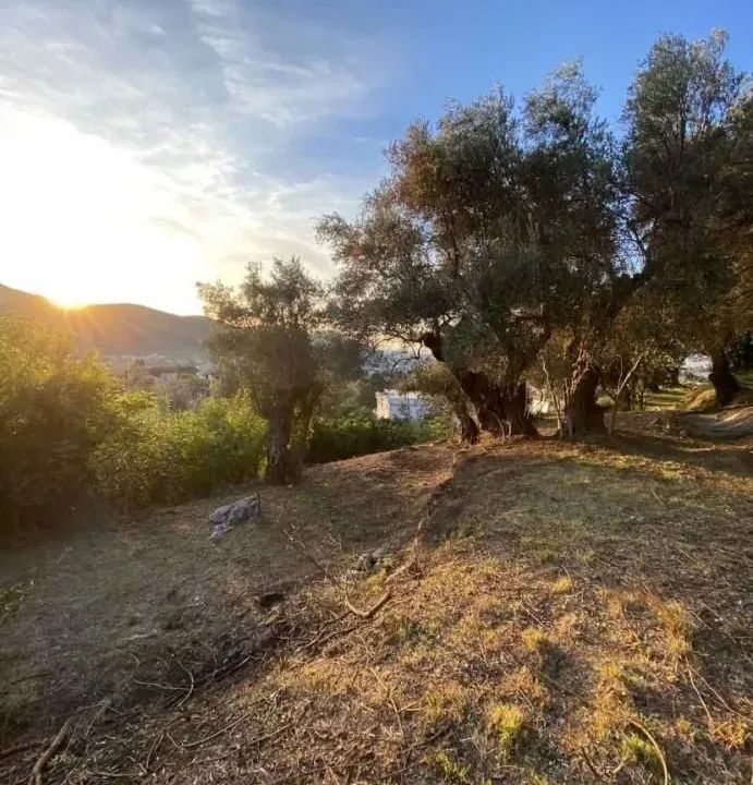 Prodaja, plac, 3700m², Zaljevo, Bar