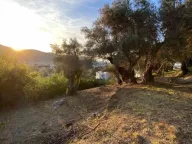 Prodaja, plac, 3700m², Zaljevo, Bar - image 1