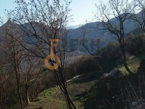 Prodaja, plac, 2200m², Cetinje, Crna Gora - image 5