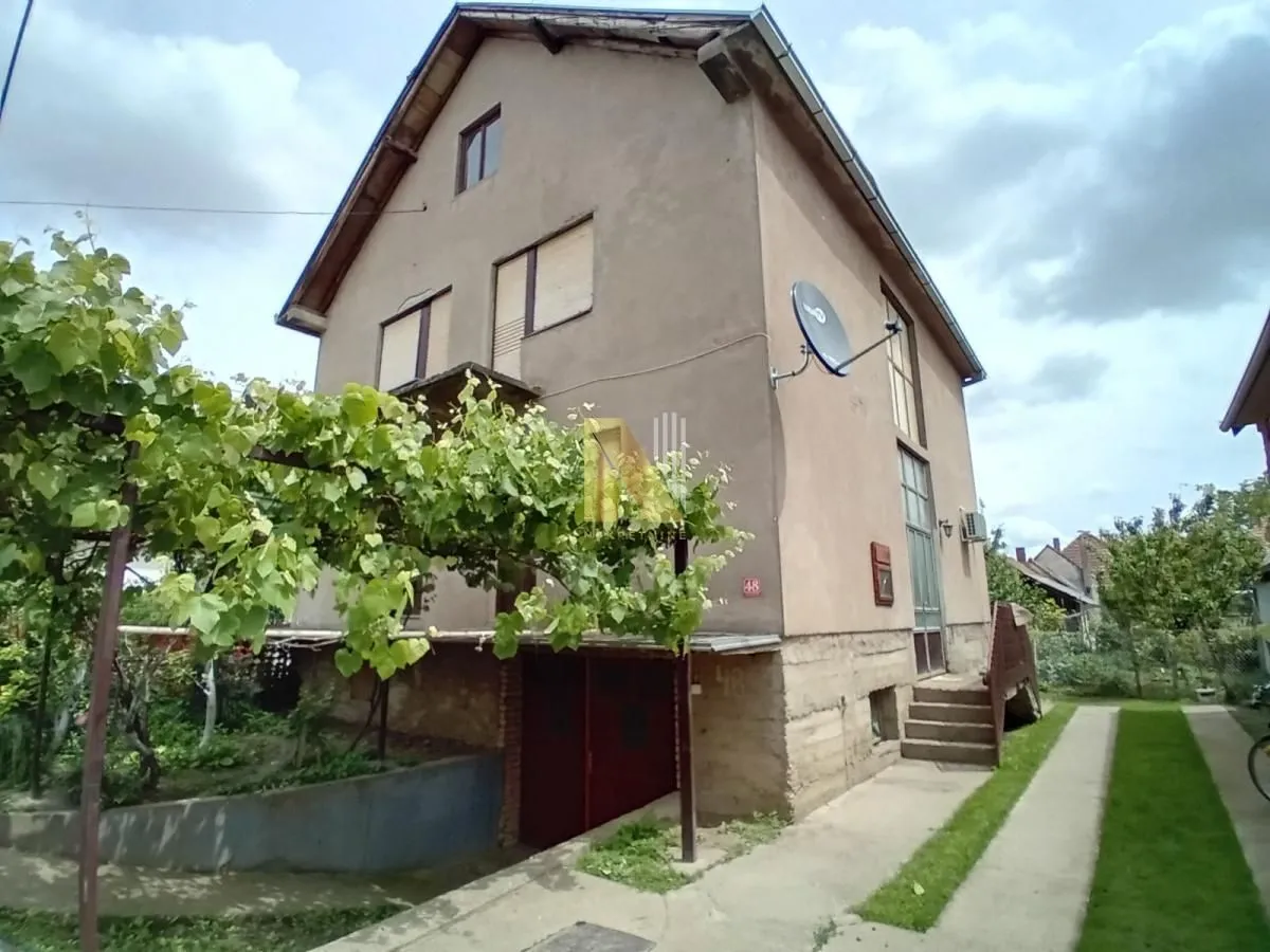 Exterior of a family house with a yard and grapevine.