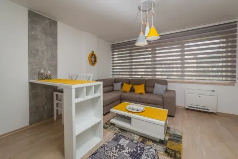 Izdavanje, jednosoban stan, 47m², Budva okolina, Budva - image 5