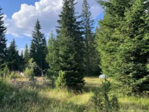 Prodaja, plac, 9000m², Nadgora, Žabljak - image 7