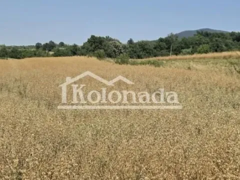 Sale, land lot, 6000m², Sopot, Beograd - image 1