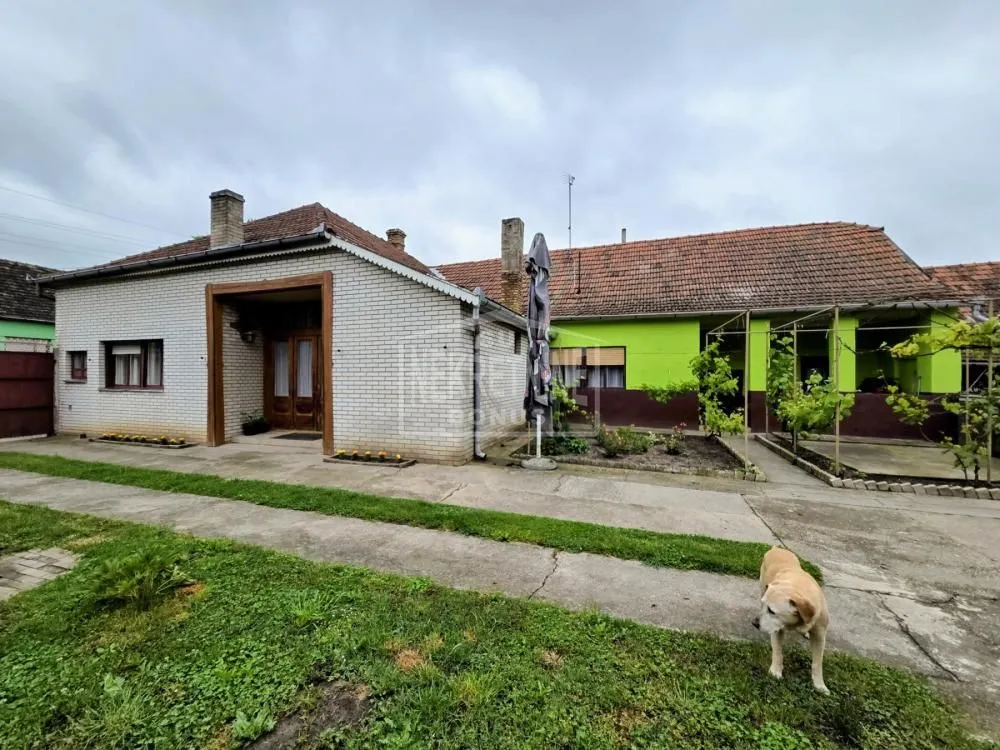 Sale, house, 231m², Pačir, Bačka Topola