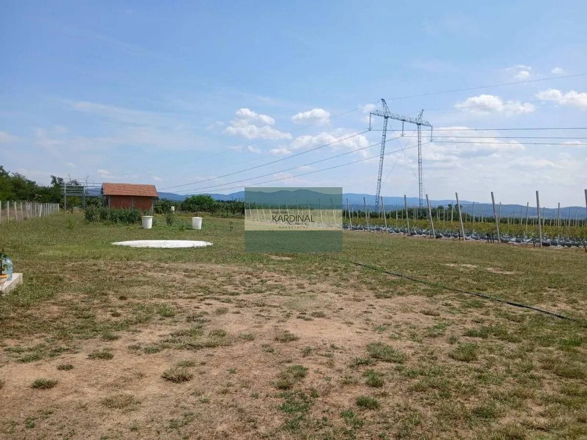 Prodaja, plac, 285100m², Medjureč, Jagodina