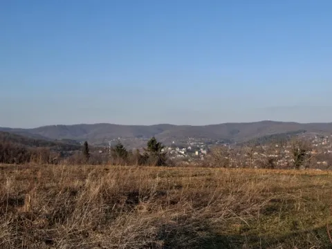 Prodaja, plac, 1800m², Banja Vrdnik, Irig - image 8