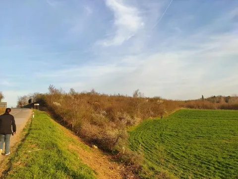 Prodaja, plac, 6000m², Beočin, Srbija - image 6