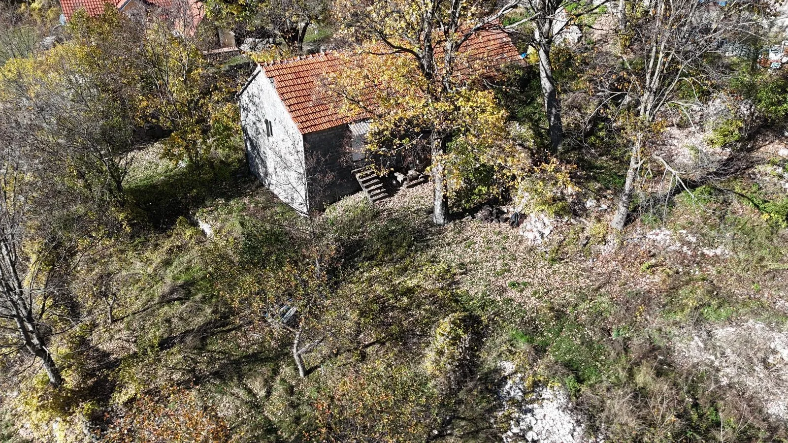 Prodaja, plac, 4984m², Njeguši, Cetinje