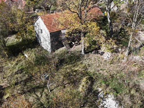 Prodaja, plac, 4984m², Njeguši, Cetinje - image 6