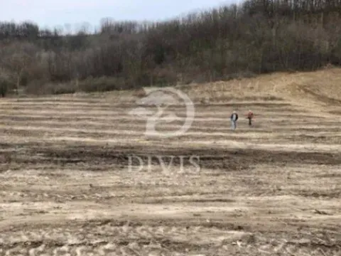 Prodaja, plac, 6700m², Vrčin, Grocka - image 4