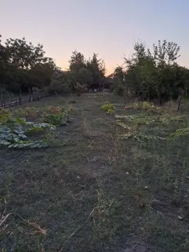 Prodaja, kuća, 136m², Kikinda, Srbija - image 20