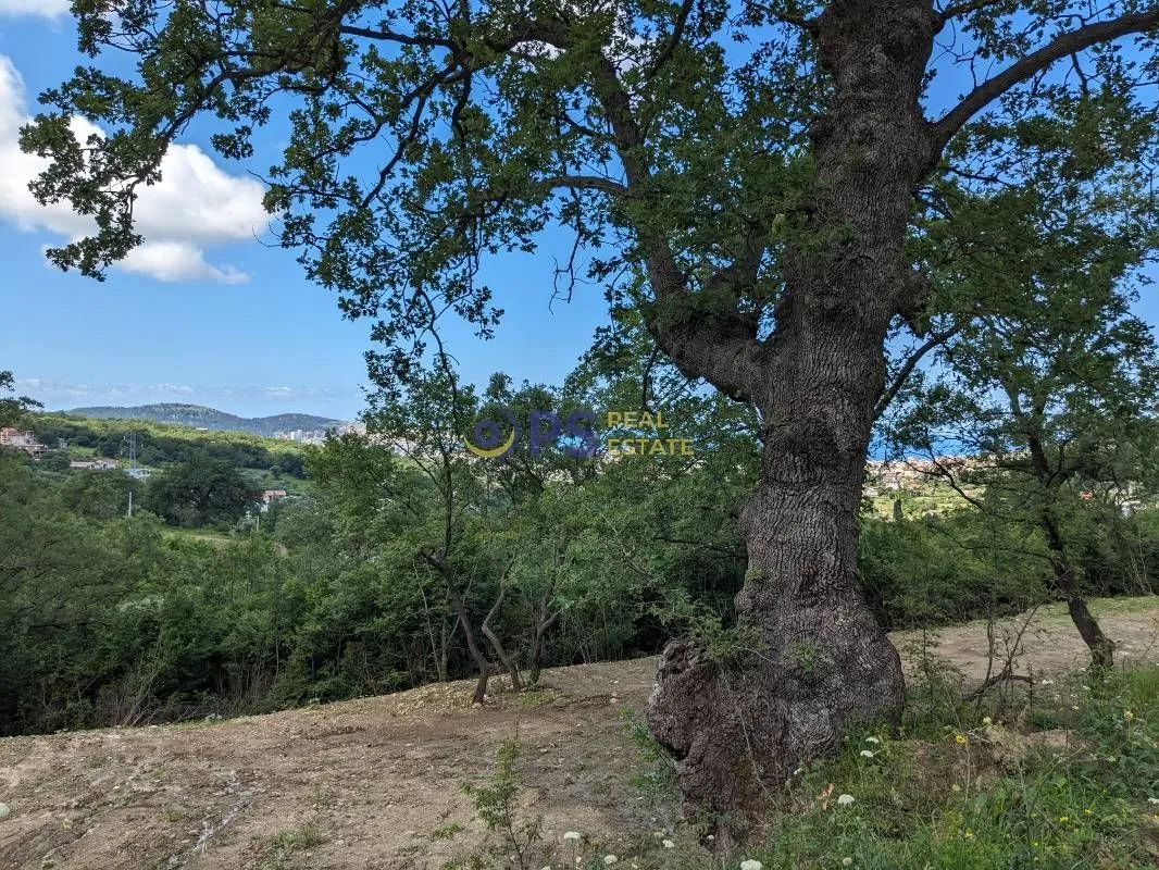 Prodaja, plac, 4900m², Bar, Crna Gora