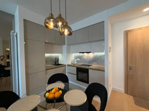Izdavanje, dvosoban stan, 54m², Beograd Na Vodi, Beograd - image 3