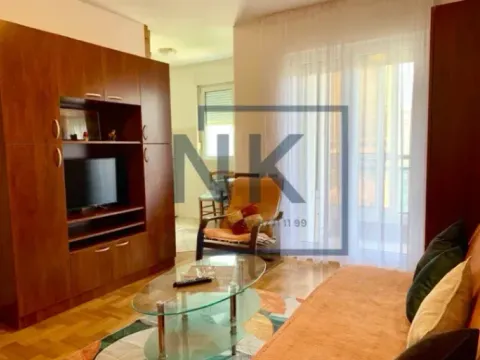 Rent, studio apartment, 28m², Zabjelo, Podgorica - image 4