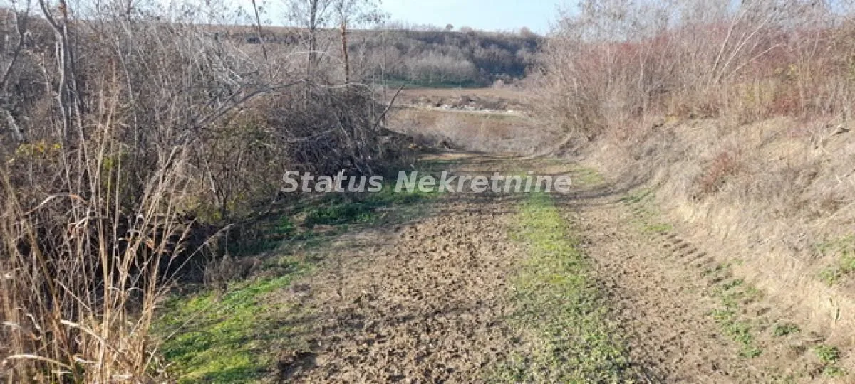 Prodaja, plac, 13011m², Beočin, Srbija