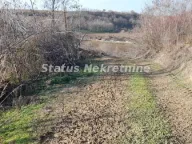Prodaja, plac, 130m², Beočin, Srbija - image 4