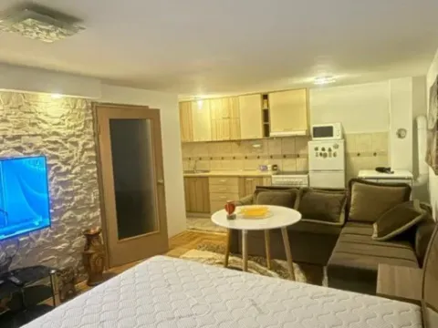 Izdavanje, garsonjera, 48m², Centar, Cetinje - image 4