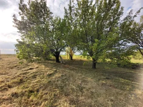 Prodaja, plac, 1279m², Novi Sad, Srbija - image 2