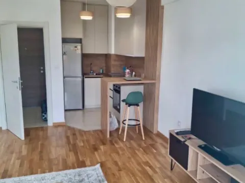 Izdavanje, garsonjera, 30m², Zabjelo, Podgorica - image 6