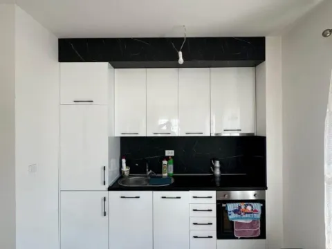 Izdavanje, jednosoban stan, 46m², Stari Aerodrom, Podgorica - image 3