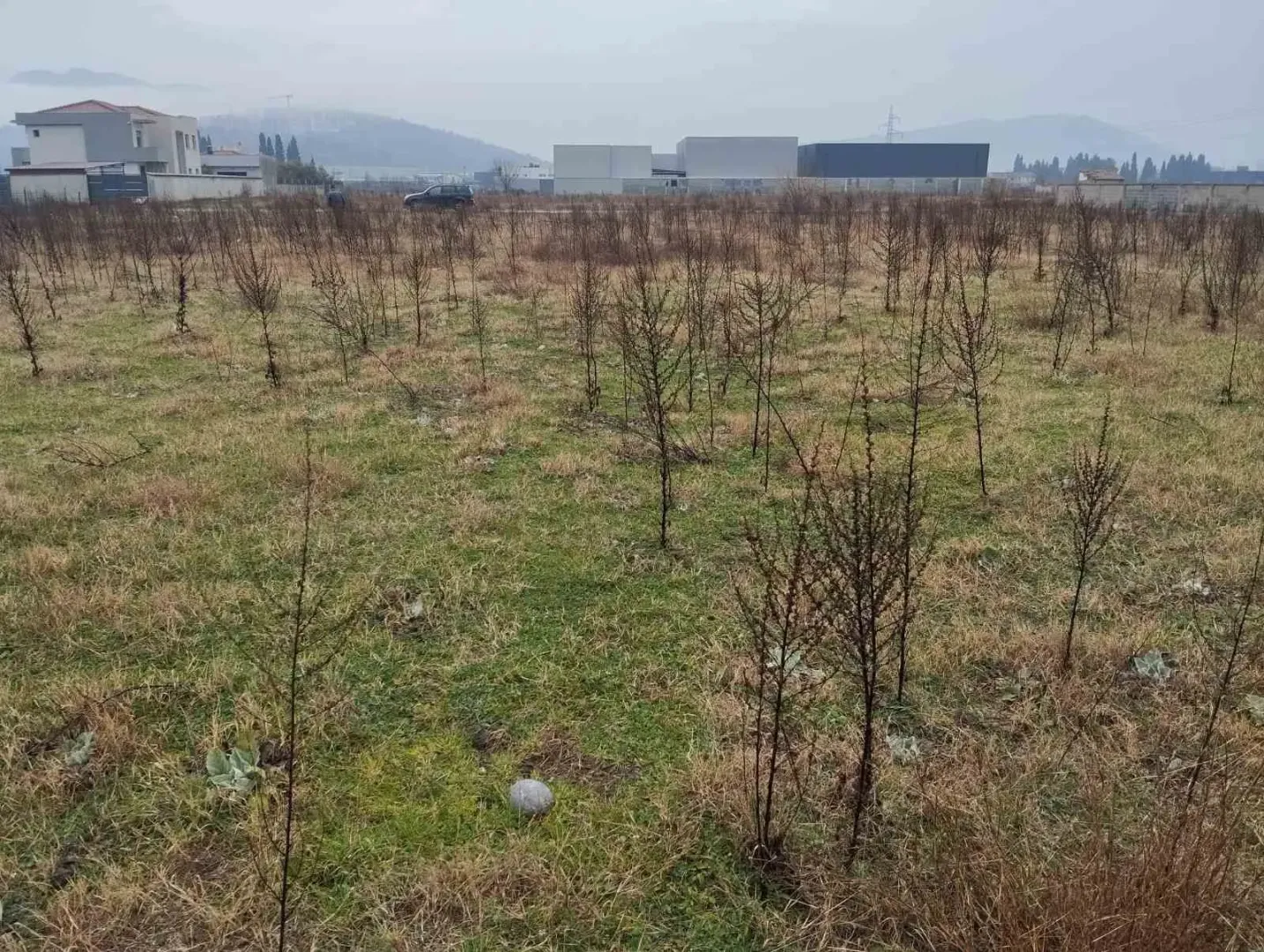Ravan građevinski plac sa niskim rastinjem.
